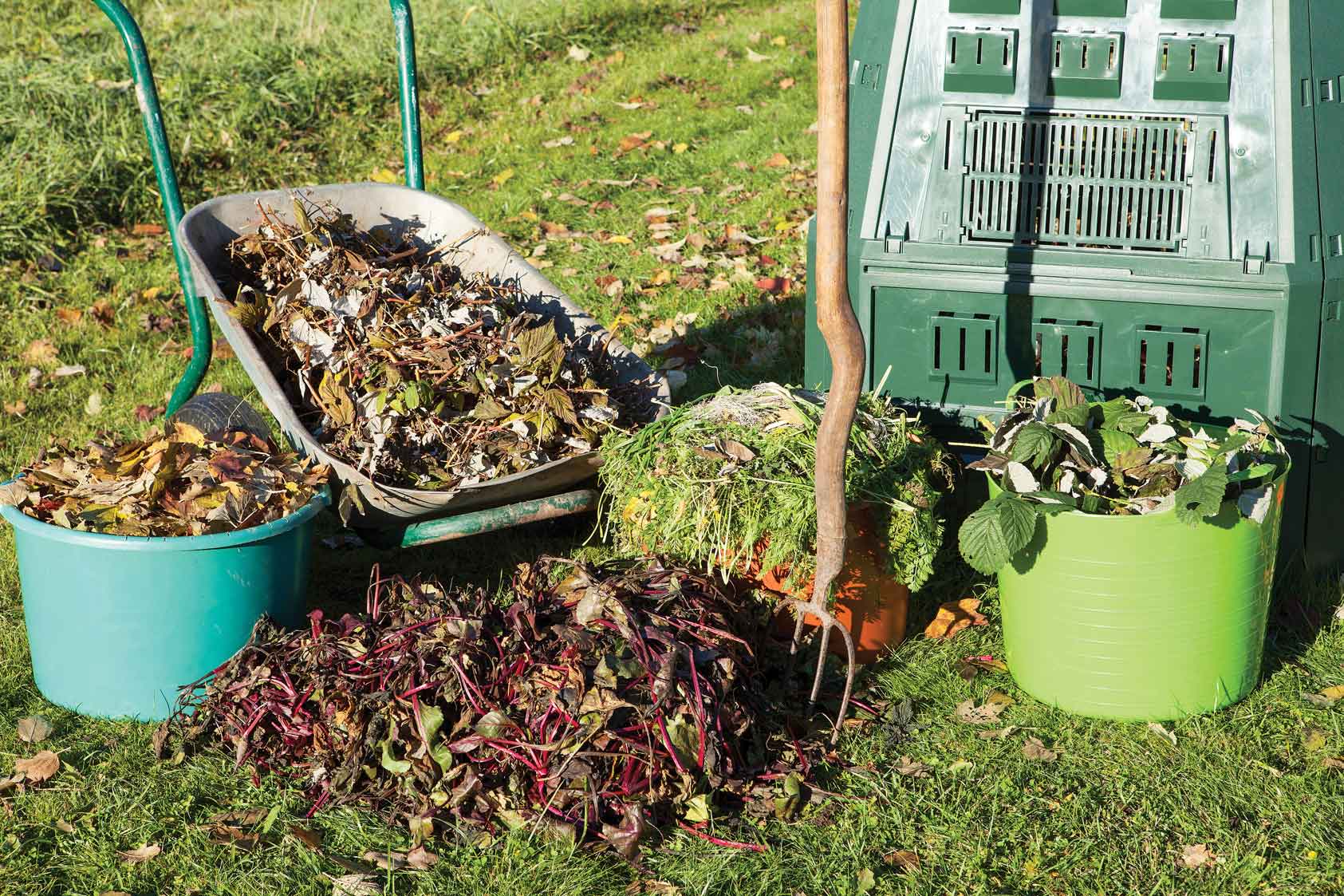 Compost: Creating fertile soil - Revista Landuum