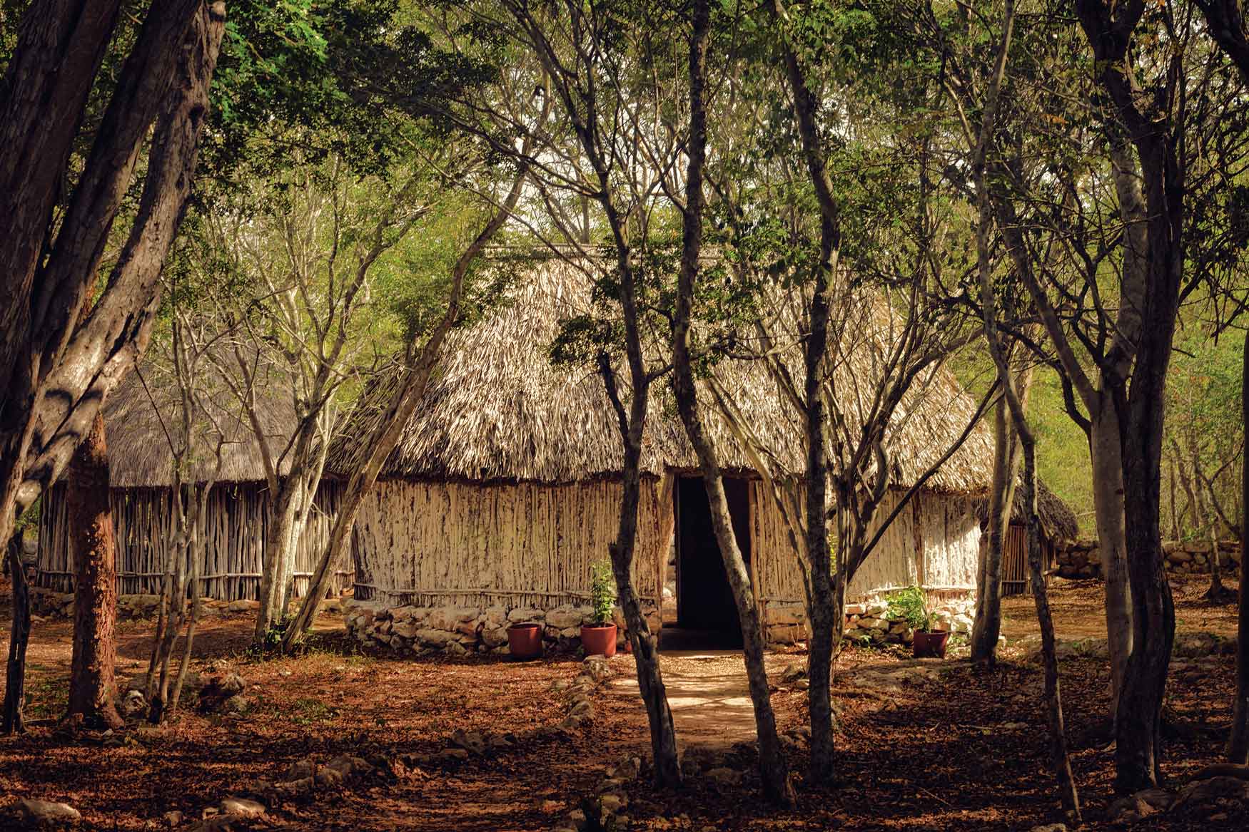 The mayan house
