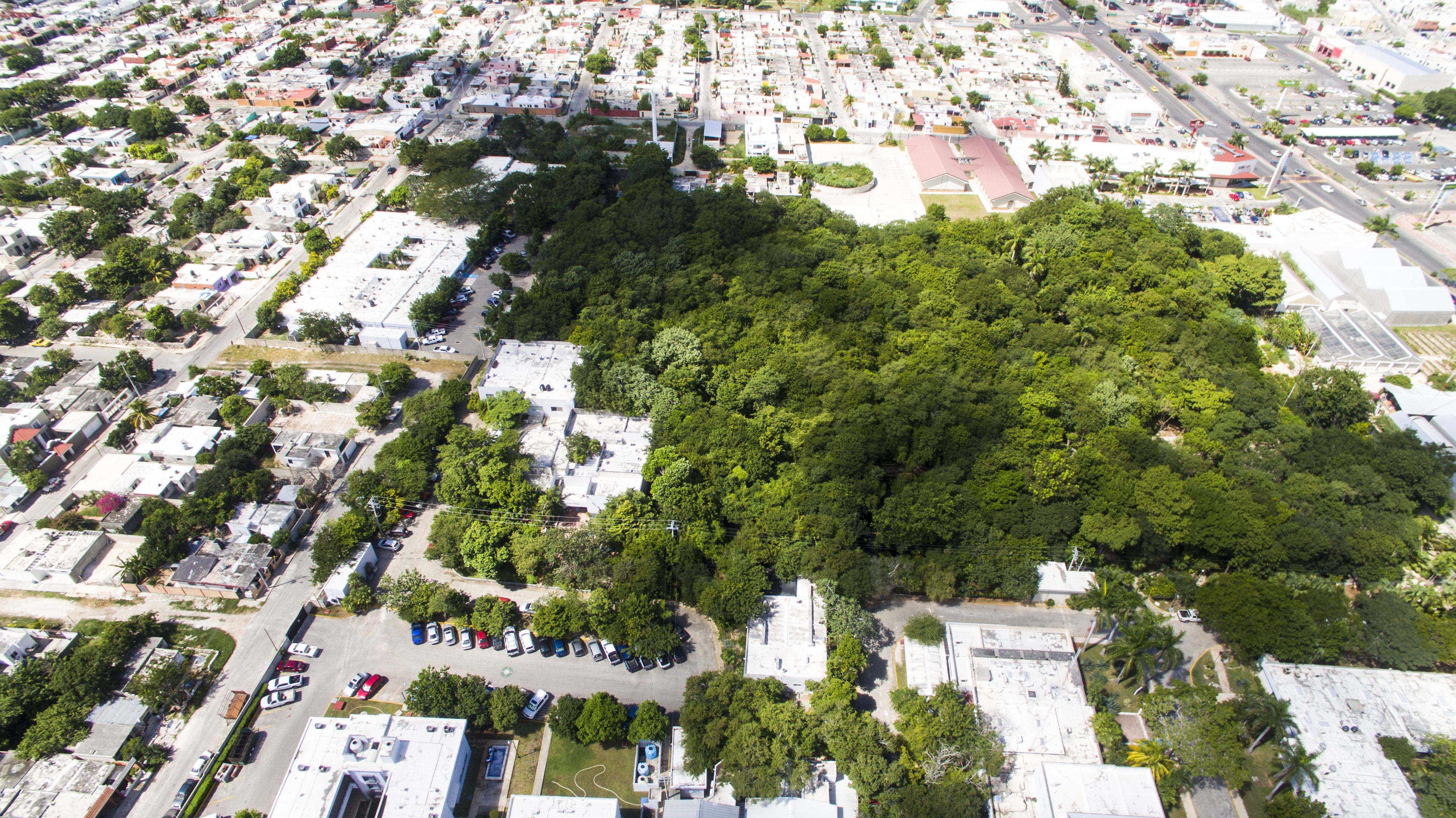 The Regional Botanical Garden “Roger Orellana” of the Scientific Research Center of Yucatán