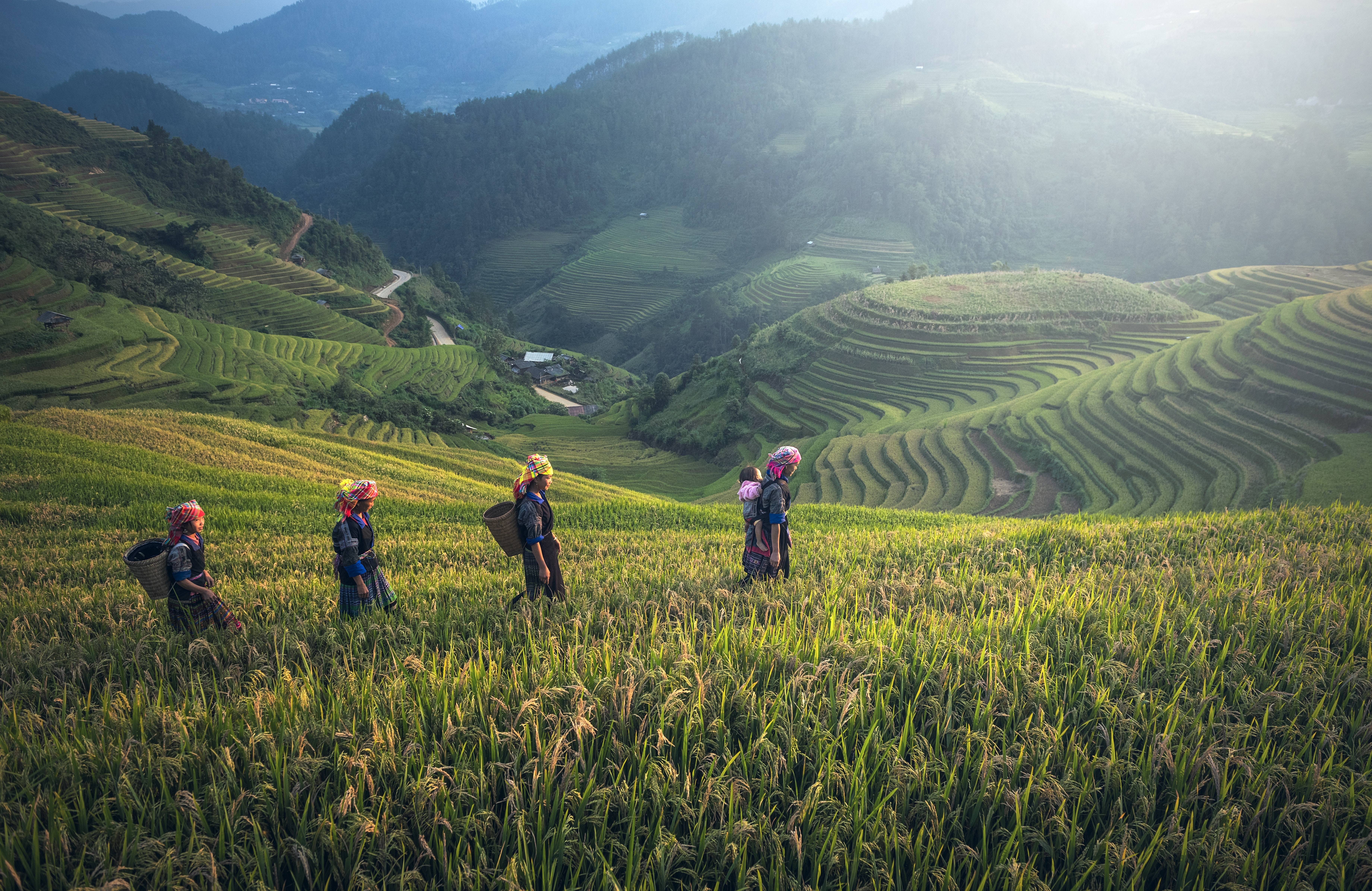 Cultivation Terraces: A tradition in the face of the challenges of climate change