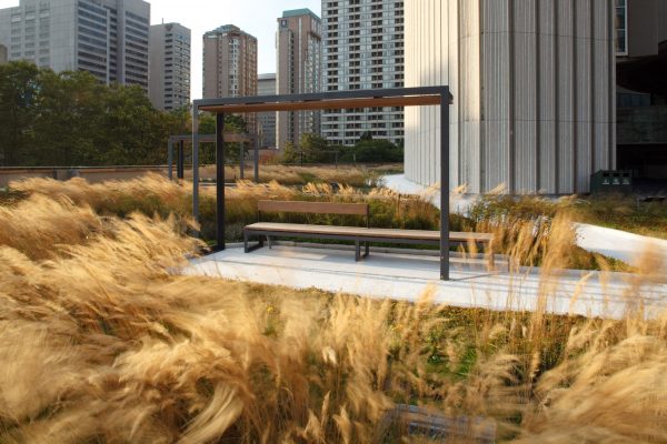 Revitalización de la Plaza Nathan Phillips – Revista Landuum