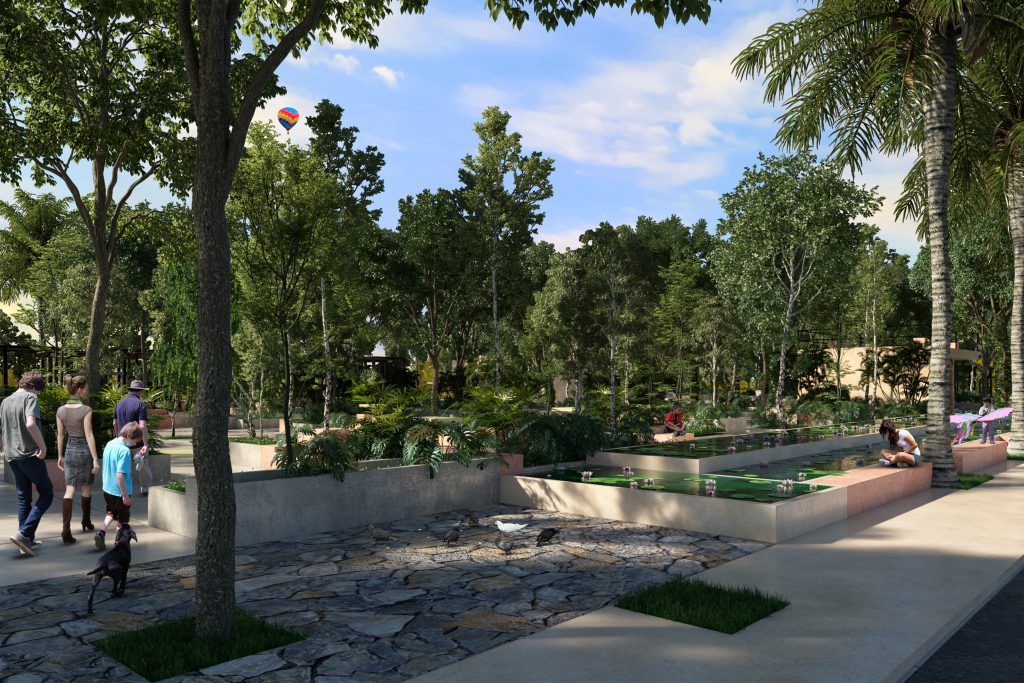 Entre Verdes y Sombras – Revista Landuum