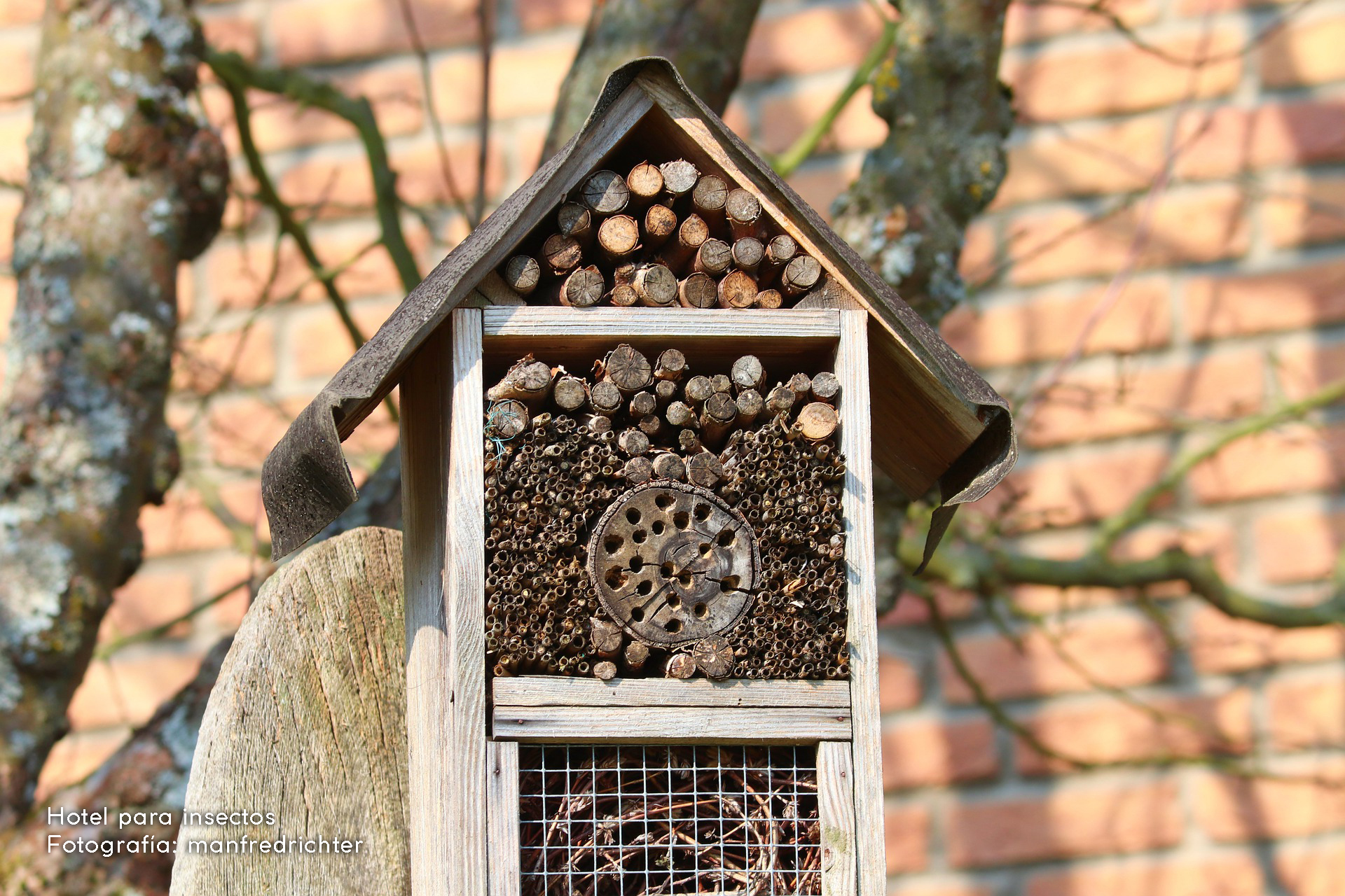 Nido como ayuda a la intemperie Casa de insectos para proteger la naturaleza de las abejas Smart Planet Hotel de insectos de 15 cm x 25 cm con soporte para tu propio jardín