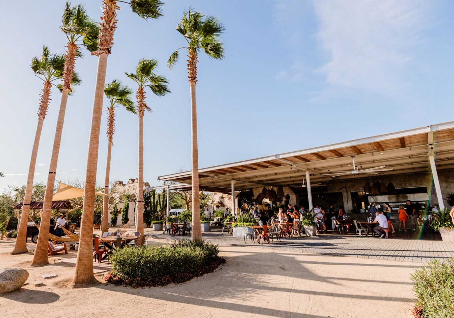 El Huerto Revista Landuum