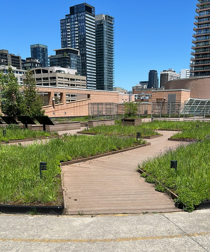 Urban oases a new alternative to mitigate the effects of climate
