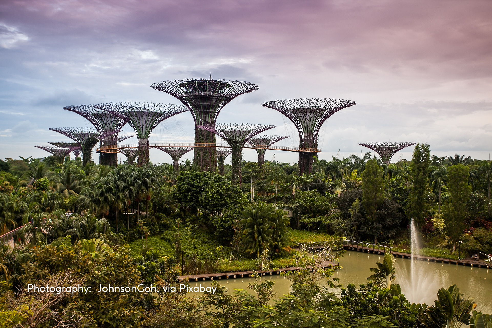 Biophilic Architecture to the Rescue of Human Well-Being