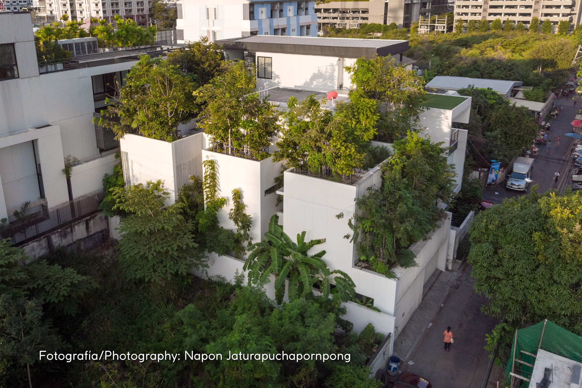 Forest House: reintegrating greenery in a high-density metropolitan area