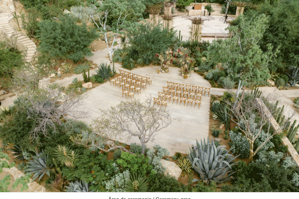 Flowers That Speak: The Agaves of Acre Resort
