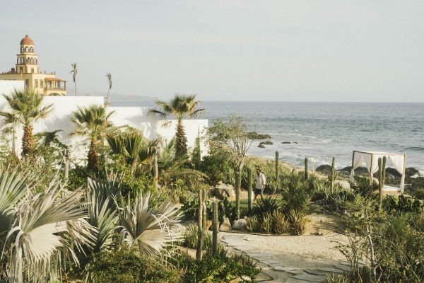 The Cove – Conscious Gardening on the Pacific Coast