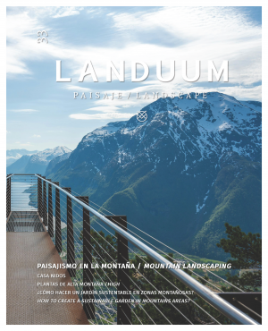 Landuum No. 33 – Mountain Landscaping