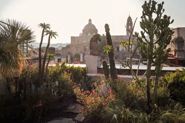 Altar: Un jardín botánico en las alturas de San Miguel de Allende
