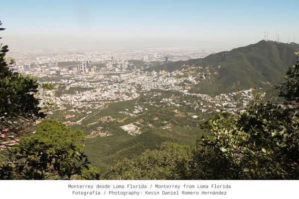 Route Through Chipinque