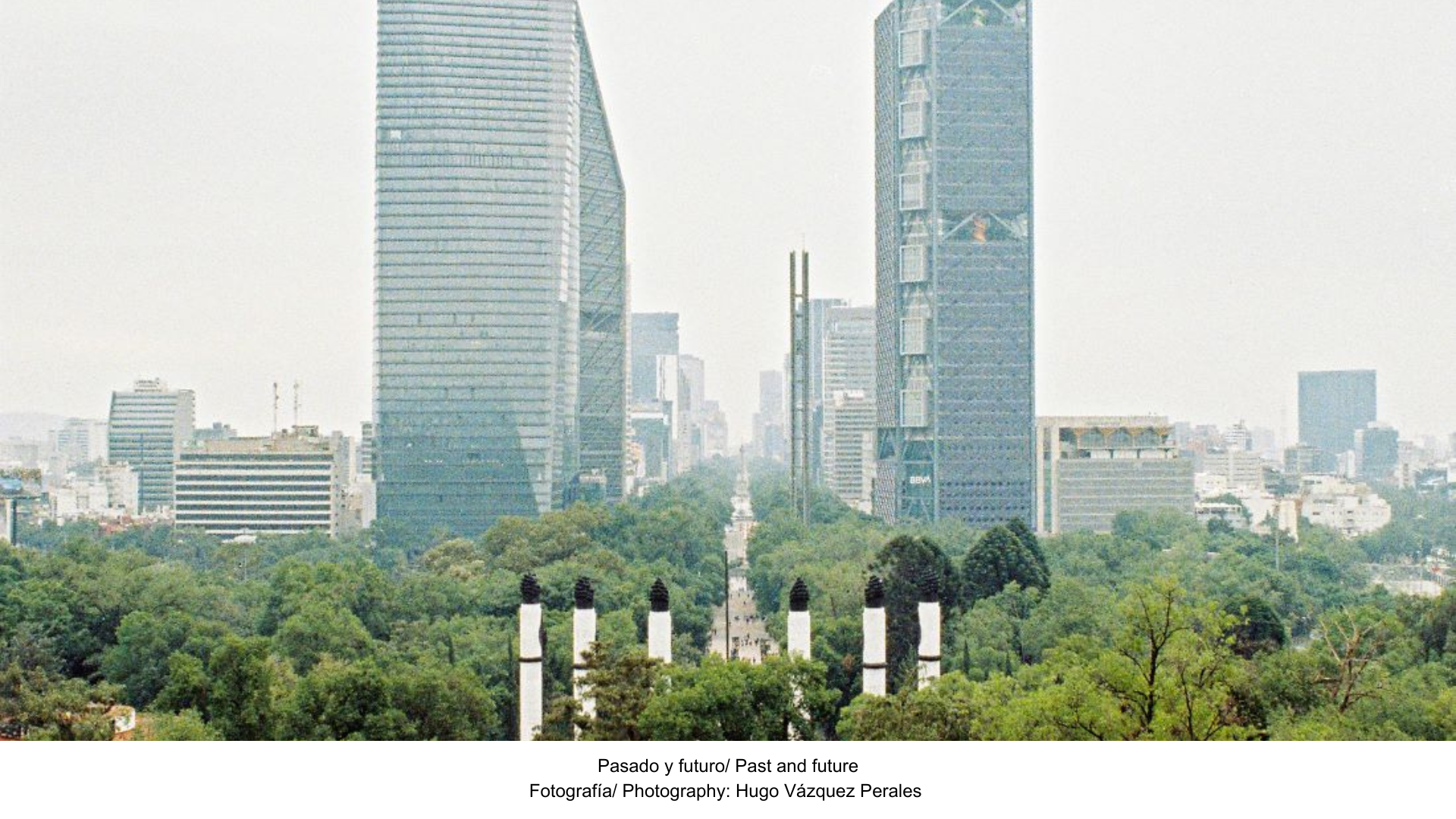 Oasis urbanos: la naturaleza como solución