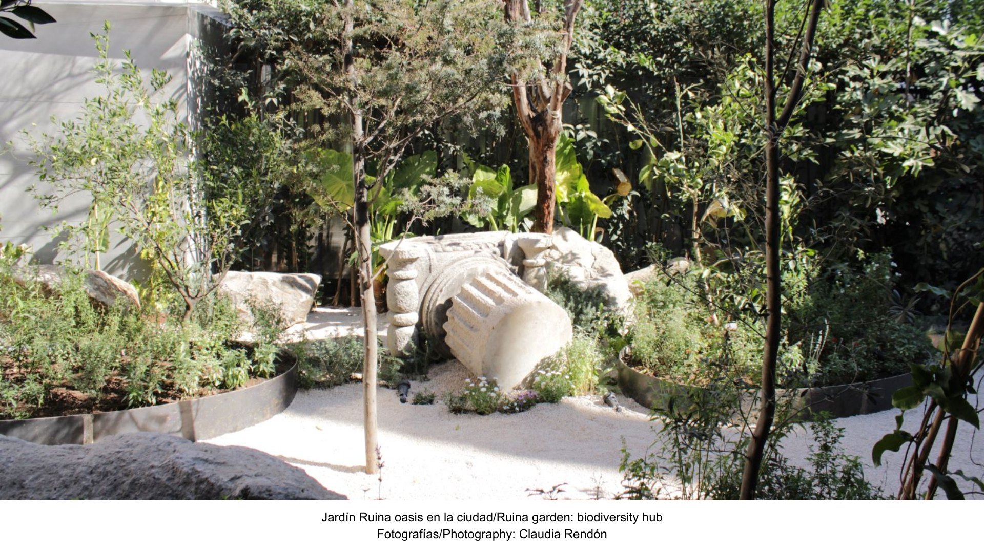 Ruina: paisaje, gastronomía, y diseño de un oasis urbano