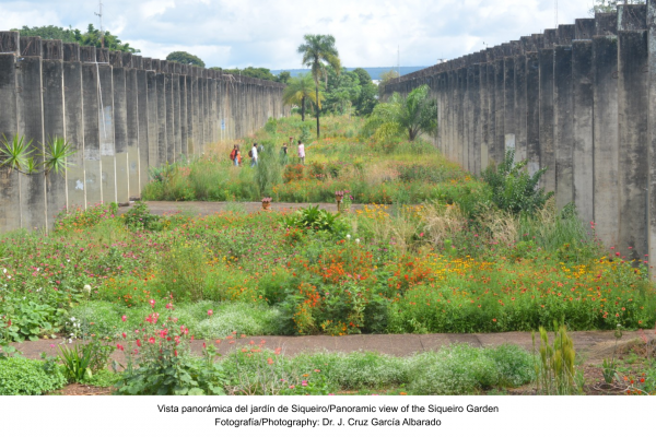 El Jardín de Siqueiro: un oasis naturalista en el corazón de Brasilia