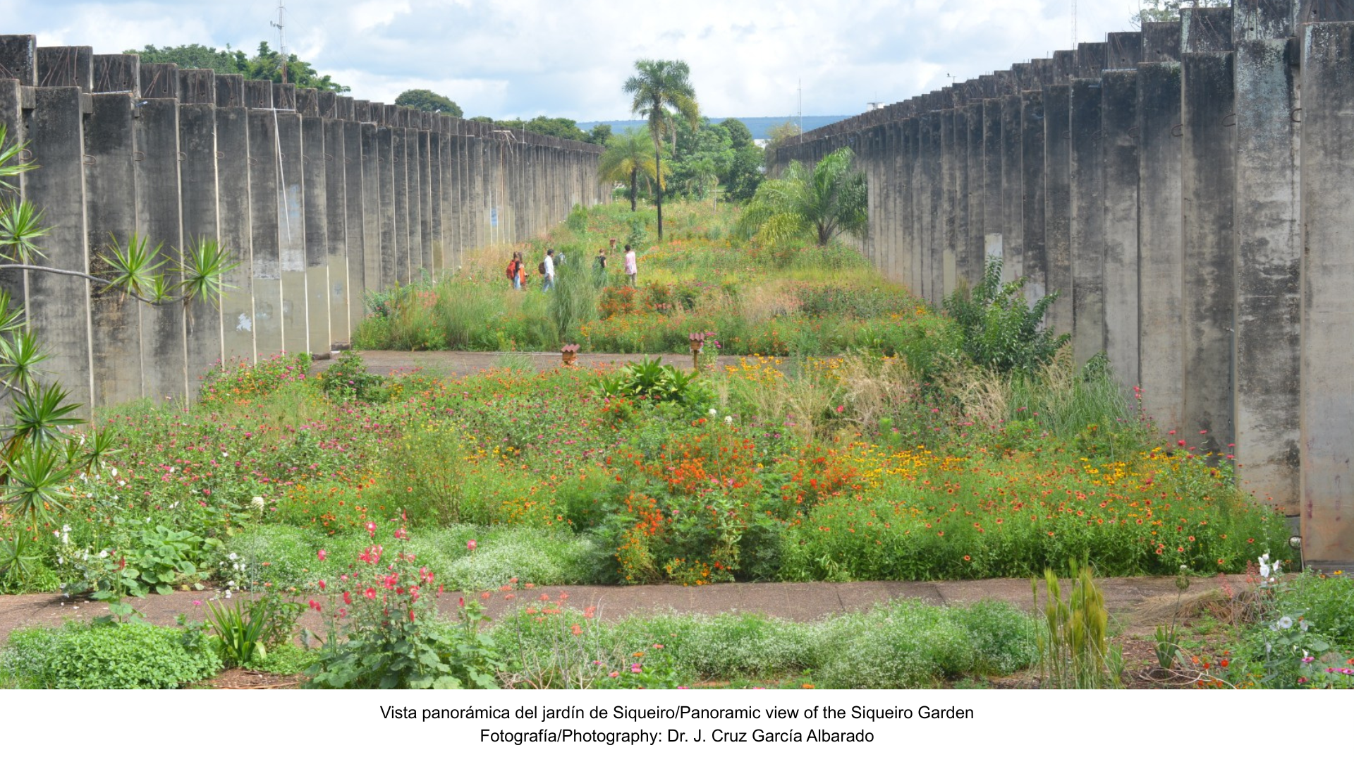 El Jardín de Siqueiro: un oasis naturalista en el corazón de Brasilia