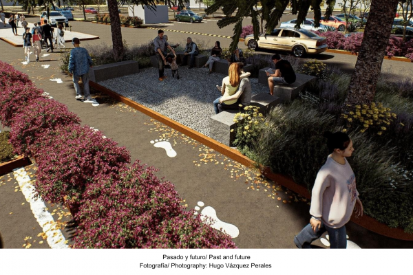 Paso peatonal Plaza Mega Izcalli: un oasis urbano entre concreto y raíces