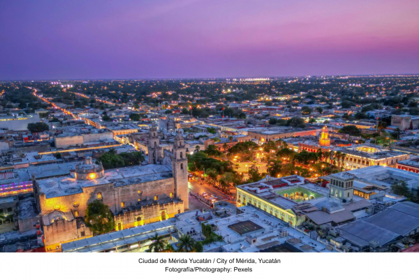 El oasis como metodología: leer la inteligencia territorial de Yucatán