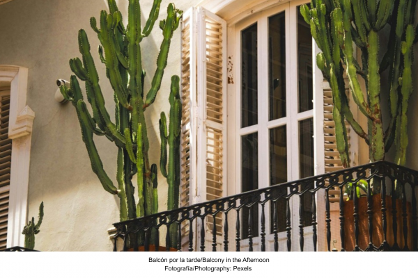 Mi oasis en casa: guía para mapear la luz y las sombras en tu balcón