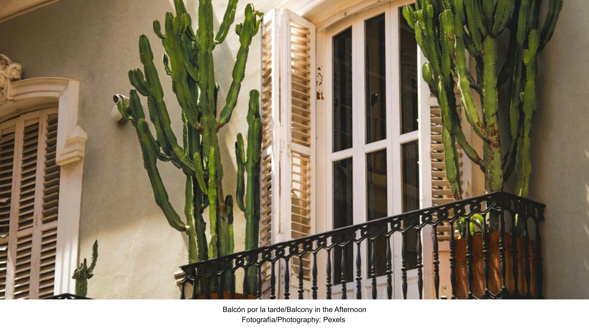 Mi oasis en casa: guía para mapear la luz y las sombras en tu balcón