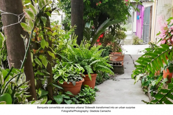 Oasis urbanos en banquetas