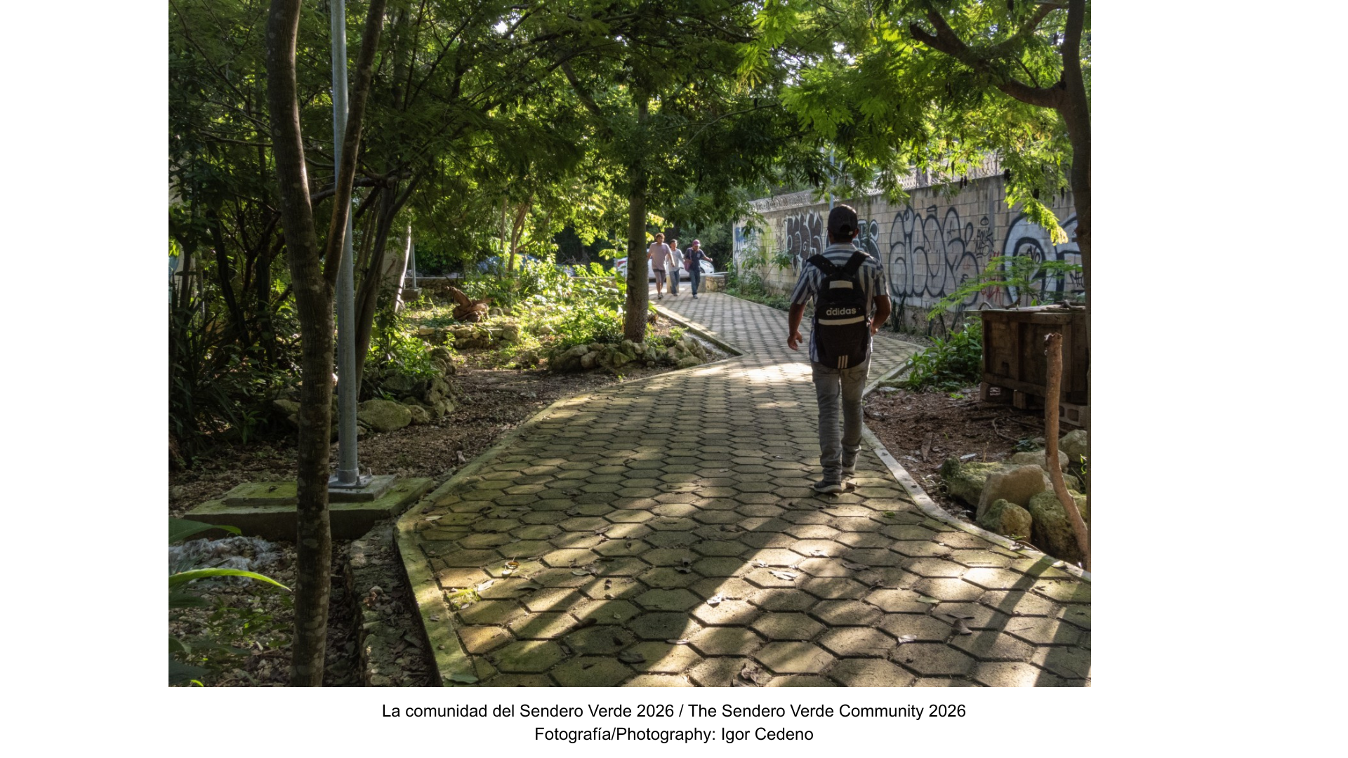 El Jardín para Polinizadores: una nueva semilla en Sendero Verde Tulum