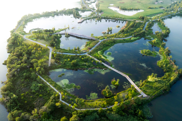 Houguan Lake Eco-Demonstration Park: Piloting strategies for restoring a region’s wetland landscapes