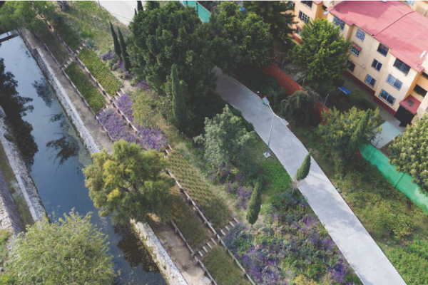 Del territorio al oasis: paisaje, ciudad y vida